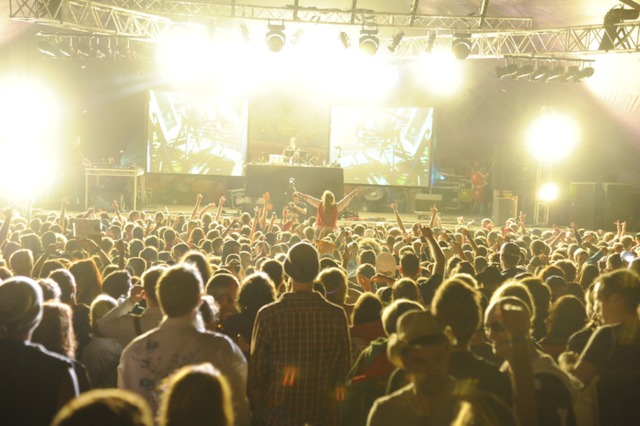 Standon Calling | August News and Events